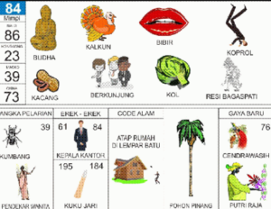 Buku Mimpi 2D Bergambar Lengkap Erek Erek 00 - 99