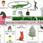 Mimpi Buaya Togel 2D 3D 4D Erek Erek Buku Mimpi