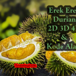 Erek Erek Durian 2D 3D 4D Di Buku Mimpi Dan Kode Alam