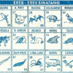 Erek Erek Binatang 2D 3D 4D di Buku Mimpi Dan Kode Alam